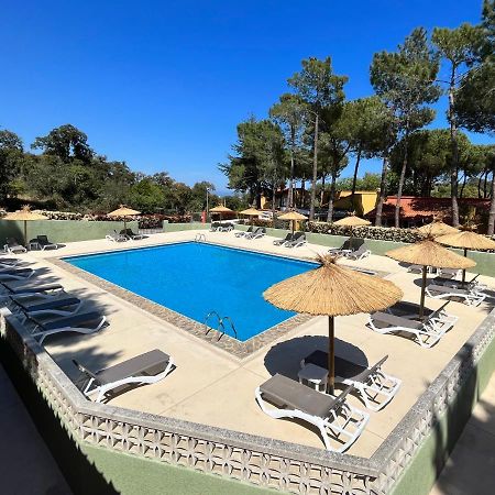 Appartamento Domaine Des Mimosas Argelès-sur-Mer Esterno foto